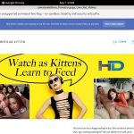 Americankitten.com Porno