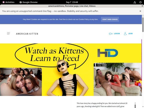 Americankitten.com Videos
