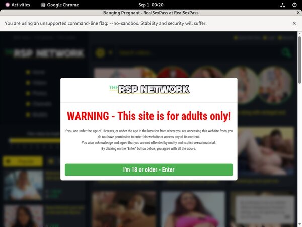 Banging Pregnant Pornstar
