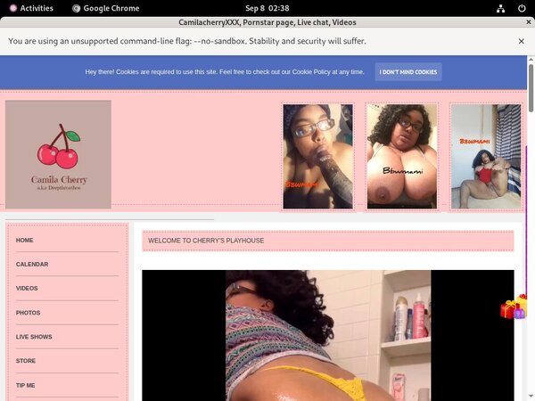 Camilacherryxxx Payment Methods