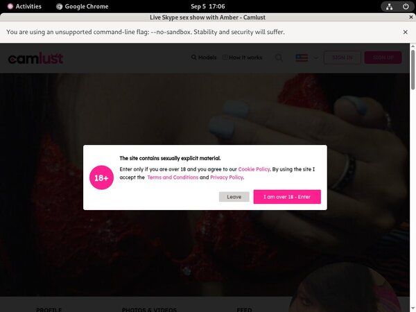 Camlust.com Passcodes