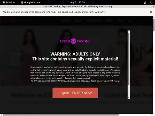 Czech VR Casting Free Accounts And Passwords