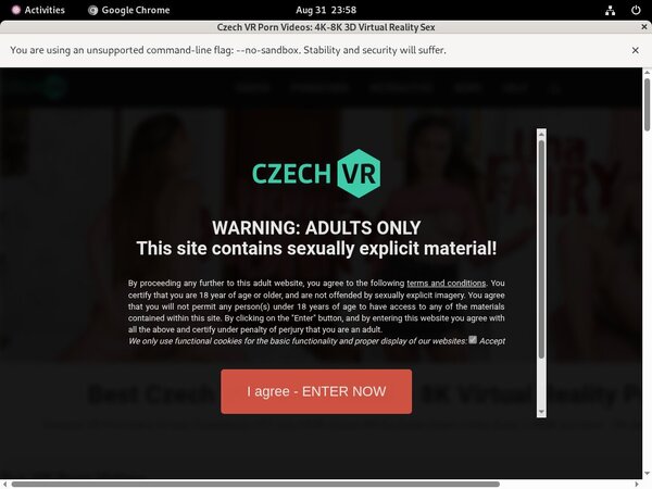 Czechvr Pass Login