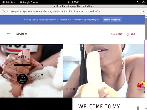 Does Msremi.modelcentro.com Use Paypal?