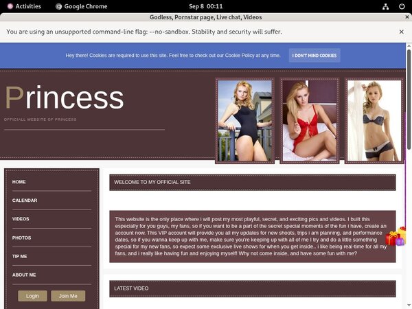 [Image: Free-Cardboardmodelcentrocom.jpg]