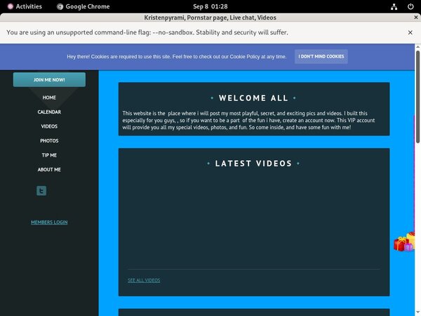 Free Working Kristenpyrami.modelcentro.com Logins