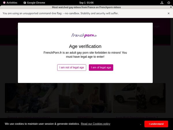 French Porn Gay Site Rip Url