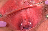 Gape My Pussy 1080p s2