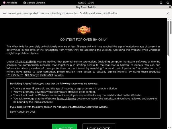 Gayasiantwinkz.com Reviews