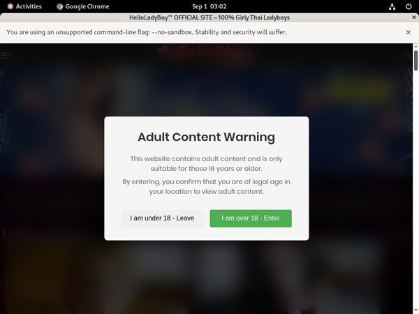 Hello Ladyboy Checkout Page