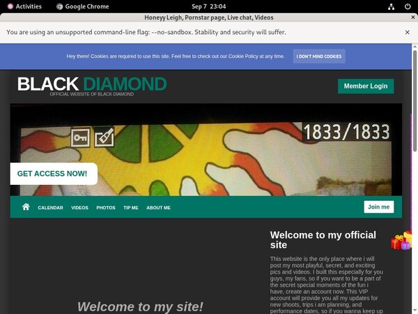 Honeyy Leigh Site Rip Dl
