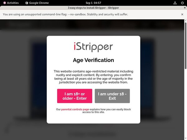 IStripper Site Rip Download