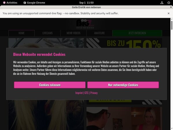 Kiss Linda Passwords