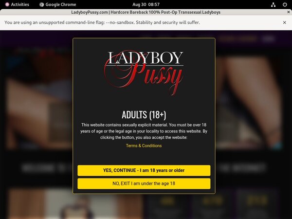 Ladyboy Pussy Credits