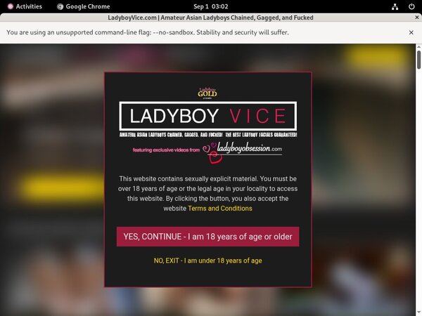 Ladyboy Vice Discount Password
