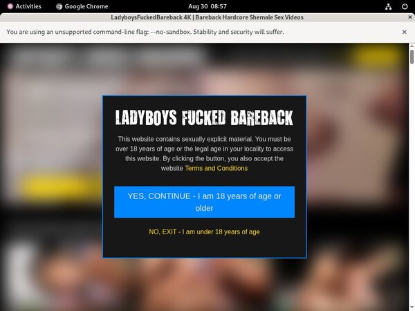 Ladyboys Fucked Bareback Discount Full