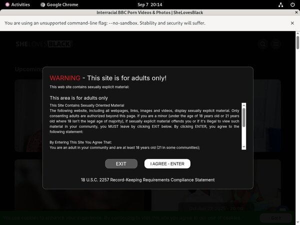 Logins Shelovesblack.com Free