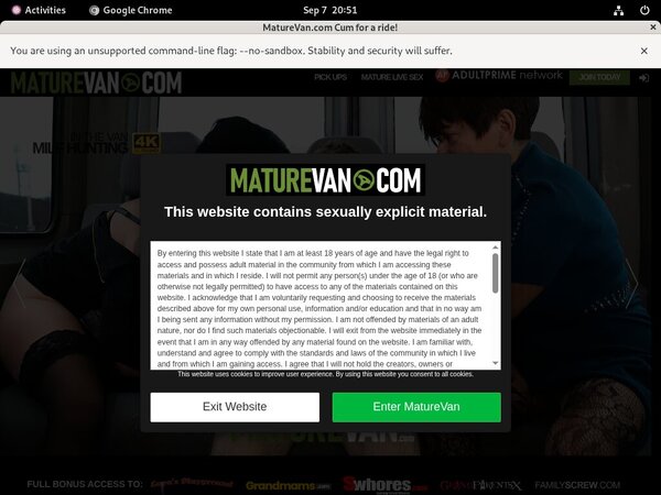 Mature Van Full Hd