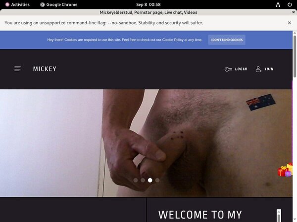 Mickeyelderstud.modelcentro.com Daily Accounts