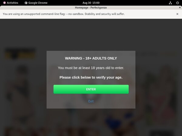 Perfect Gonzo Network Login