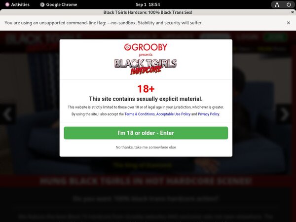 Premium Black TGirls Hardcore Site Rip
