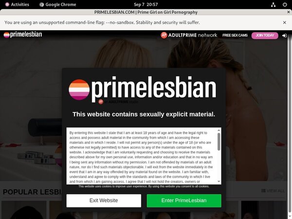 Promo Code Primelesbian.com