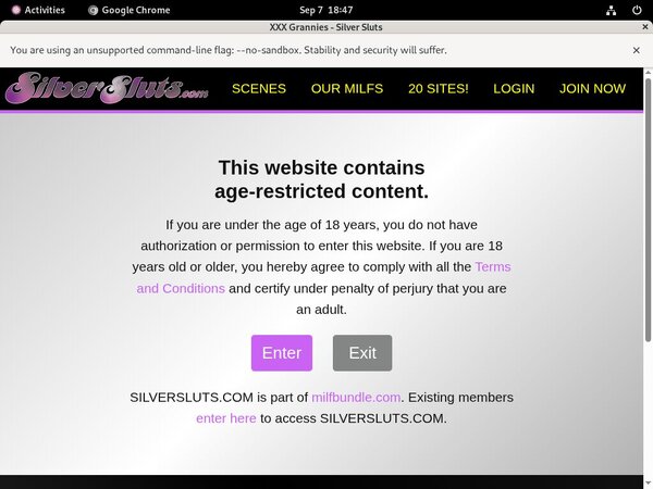 Silver Sluts Get Password
