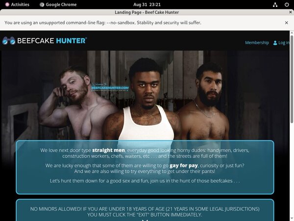 Site Rip Hunter Cake Beef