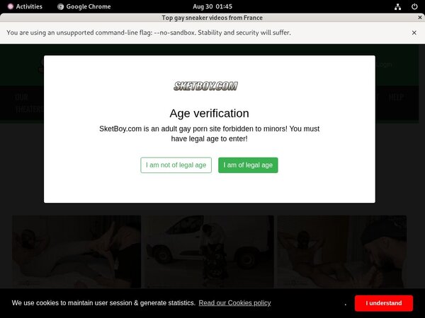 Sketboy.com Dvd