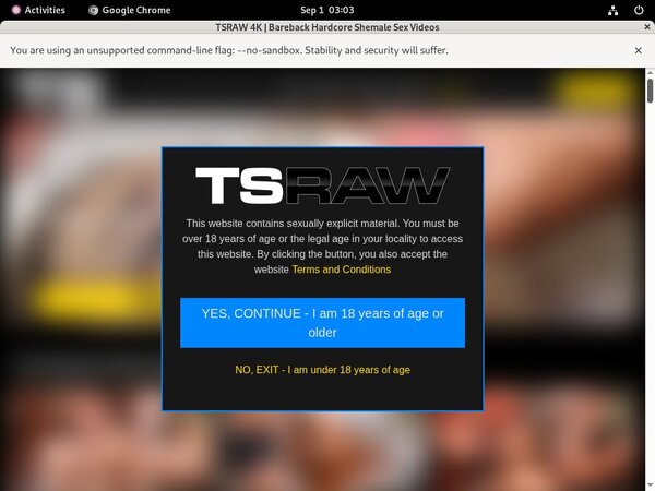 TS Raw Sex Porn