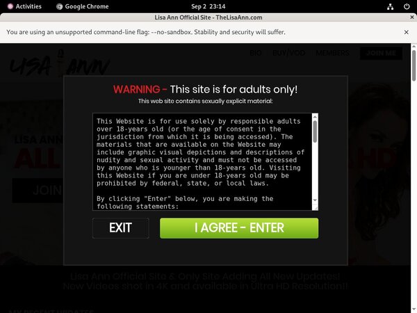 [Image: Thelisaann-Homepage.jpg]