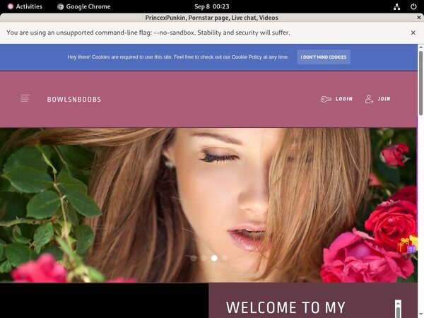 Username And Password For PrincexPunkin Username And Password For PrincexPunkin