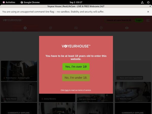 Voyeurhouse Adult Passwords
