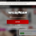 Wild On Cam Accounts Daily