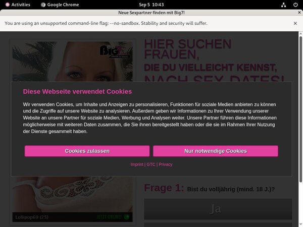 Yoursecretdream.com Account Info