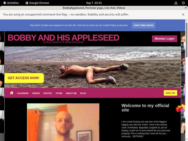 Bobbyappleseed.modelcentro.com Discount Page